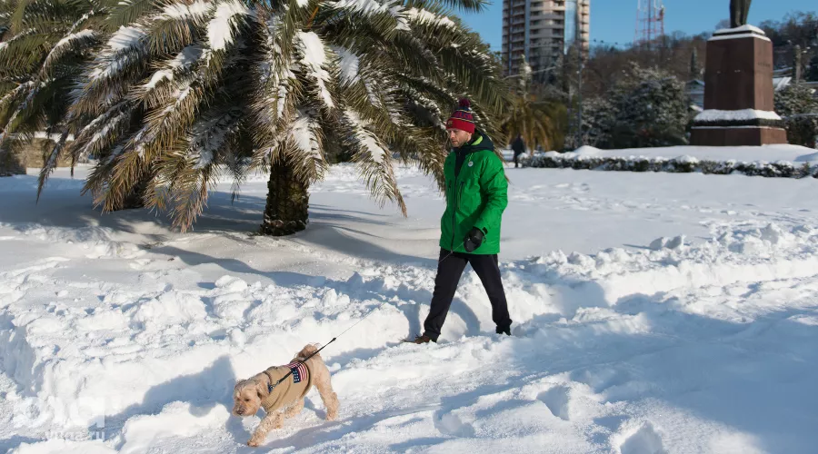  &copy;&nbsp;Фото Никиты Быкова, Юга.ру