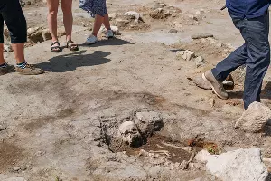  &copy;&nbsp;Фото Юли Шафаростовой, Юга.ру