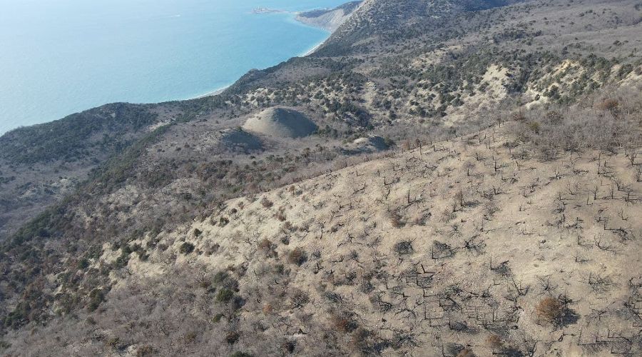  &copy;&nbsp;Фото Андрея Маковозова, предоставлено Юга.ру