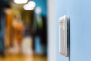 Датчик движения © Фото Елены Синеок, Юга.ру