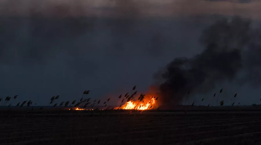  &copy;&nbsp;Фото Елены Синеок, Юга.ру