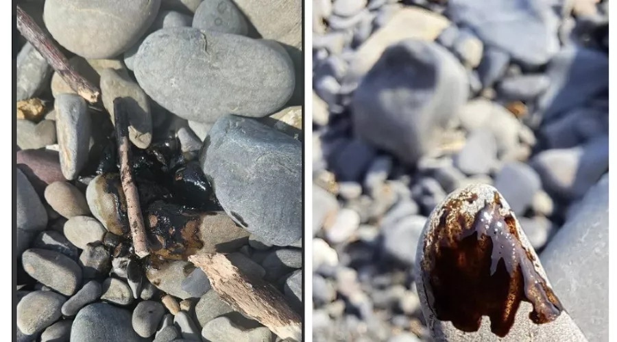  &copy;&nbsp;Скриншот из телеграм-канала &laquo;Наша Газета Новороссийск&raquo; https://t.me/ng_nov/24848