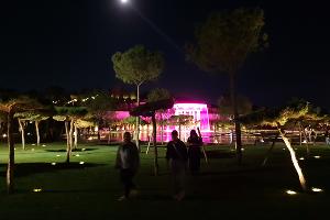 «Парк облаков» в парке «Краснодар»  © Фото Марины Солошко, Юга.ру