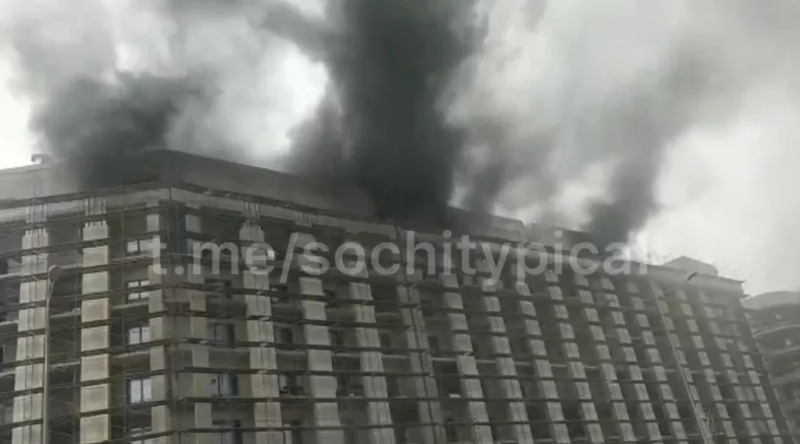  &copy;&nbsp;Скриншот видео из телеграм-канала &laquo;Типичный Сочи&raquo;, t.me/sochitypical