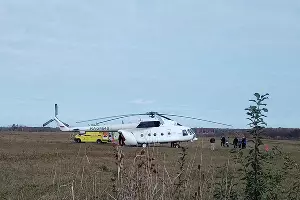  &copy;&nbsp;Фото Елены Малышевой, Юга.ру