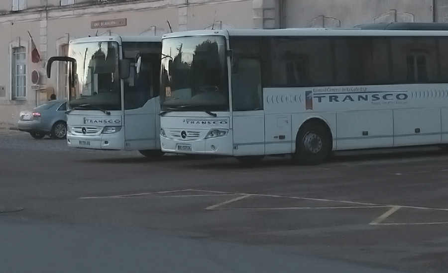 Сайт автовокзал 36 ру. Автобусы Сочи. Автобусы Сочи футбол. Автобус Сочи Астрахань фото. Автобус Сочи Астрахань показать фото.