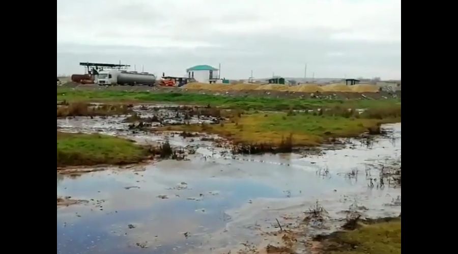  © Скриншот видео из телеграм-канала «Typodar Краснодар», tmtr.me/typodar