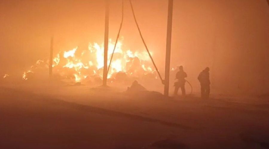  © Скриншот видео пресс-службы ГУ МЧС России по Краснодарскому краю