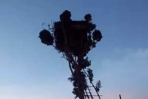  &copy;&nbsp;Фото Максима Богатырева