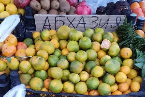  &copy;&nbsp;Фото Марины Солошко, Юга.ру