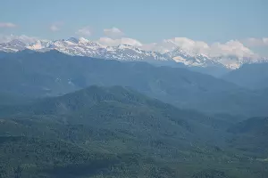  &copy;&nbsp;Фото Елены Синеок, Юга.ру