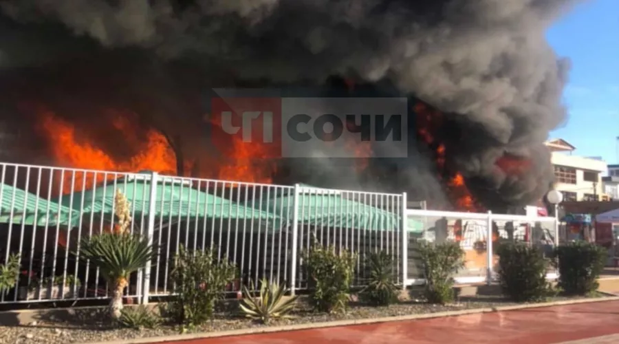  &copy;&nbsp;Фото из паблика &laquo;ЧП Сочи&raquo;, vk.com/chpsochi