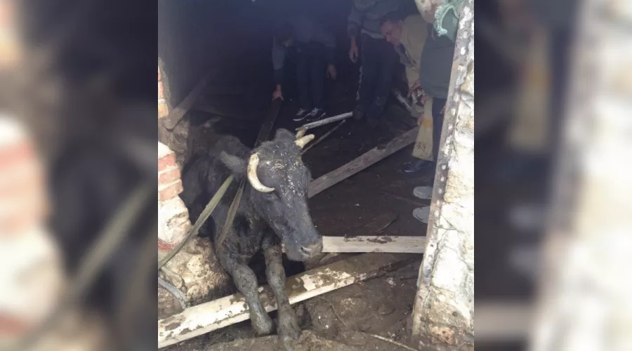  &copy;&nbsp;Фото пресс-службы ГУ МЧС РФ по Республике Крым