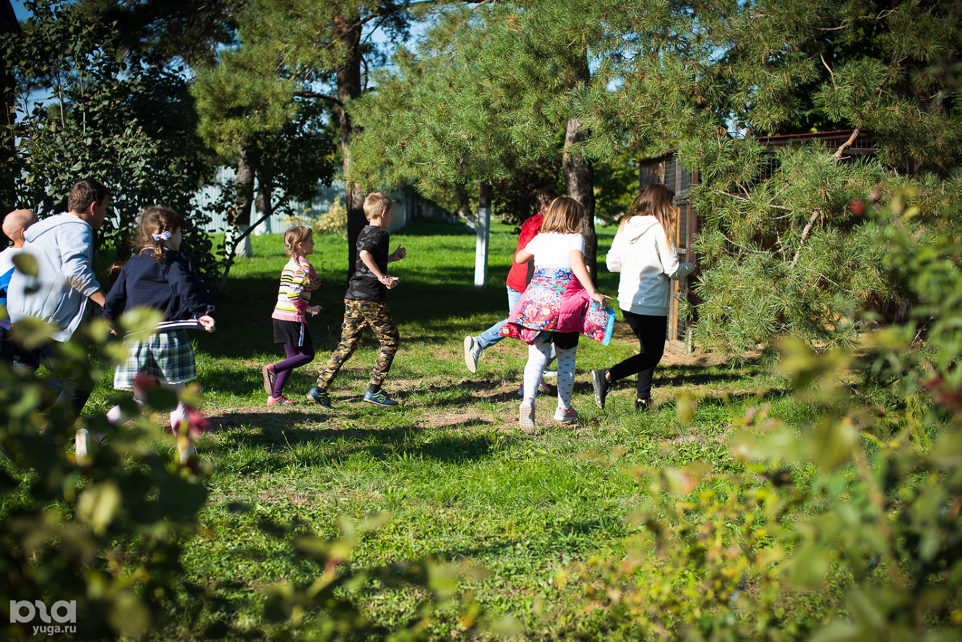 зерноградская школа интернат речевая. школа интернат для детей с нарушением слуха и речи пермь. школа интернат с нарушениями речи. некрасовская школа-интернат орел. школьная научно-практическая конференция.
