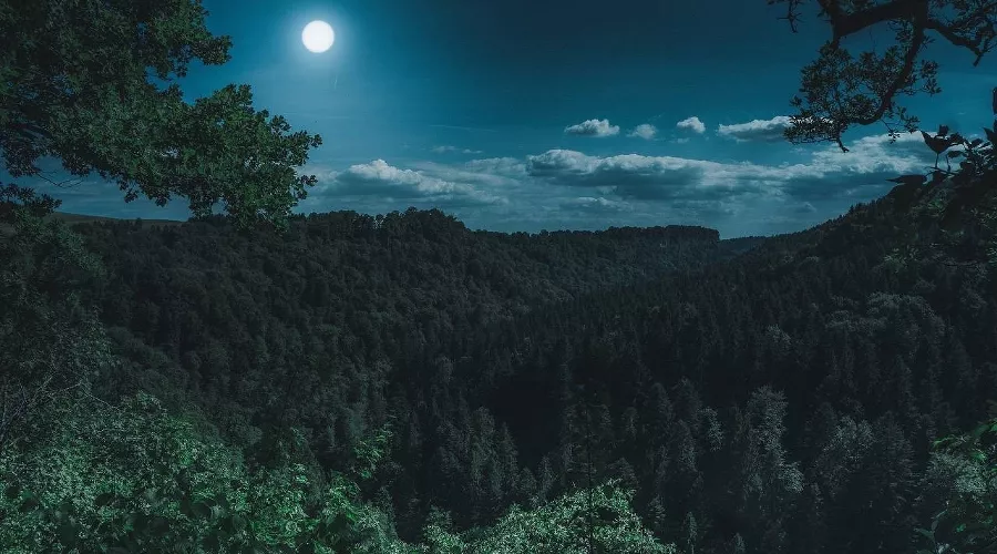  &copy;&nbsp;Фото пользователя flo222/ 48 с сайта pixabay.com