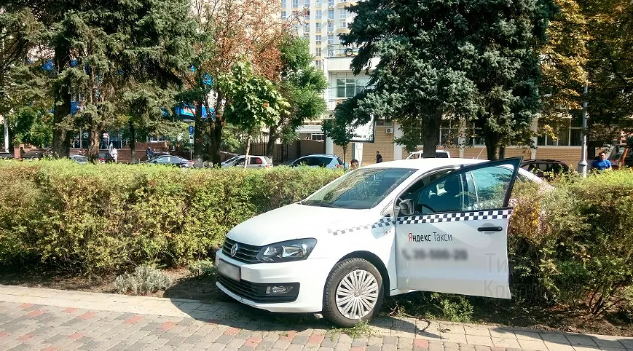  &copy;&nbsp;Фото со страницы t.me/krd_tipich_ru