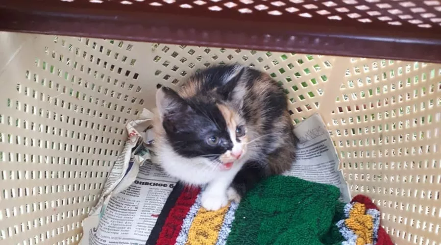  &copy;&nbsp;Фото со страницы Алексея Одерова в инстаграме, instagram.com/alekseioderov