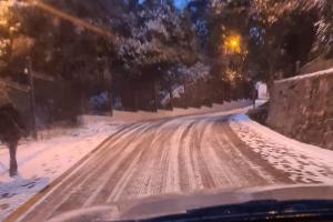  © Фото из телеграм-канала «Типичный Сочи», t.me/sochitypical