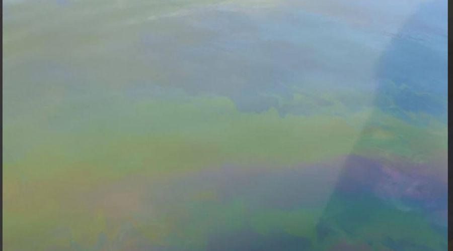  © Скриншот из телеграм-канала «Экодиктатура» https://t.me/ecodictatura/7637?single