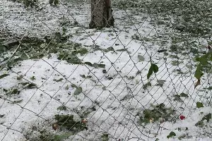  &copy;&nbsp;Фото из паблика &laquo;Типичная Адыгея&raquo;, vk.com/typical01