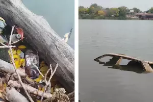  &copy;&nbsp;Коллаж из скриншотов видео из телеграм-канала &laquo;Очистка и зарыбление Карасунов&raquo;