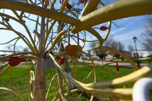 Парк Гречишкина в Тбилисском районе &copy;&nbsp;Фото Елены Синеок, Юга.ру