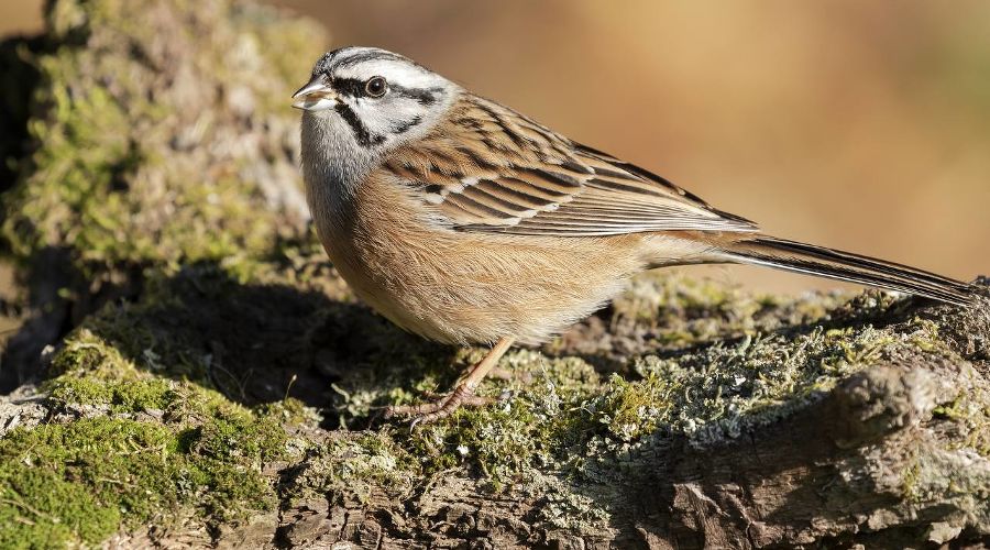  &copy;&nbsp;фото wirestock, сайт freepik.com