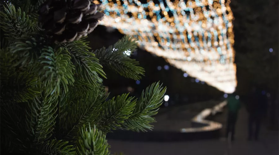  &copy;&nbsp;Фото Alexander S, unslpash.com