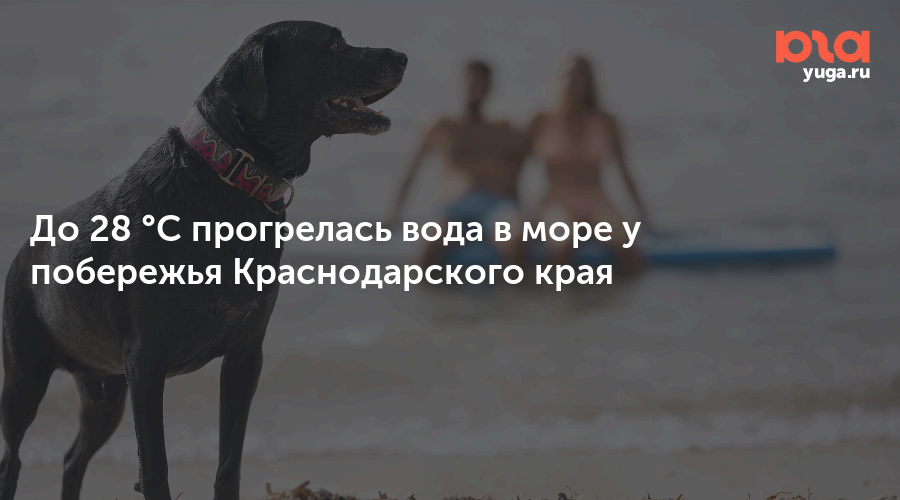 До 28 °C прогрелась вода в море у побережья Краснодарского края