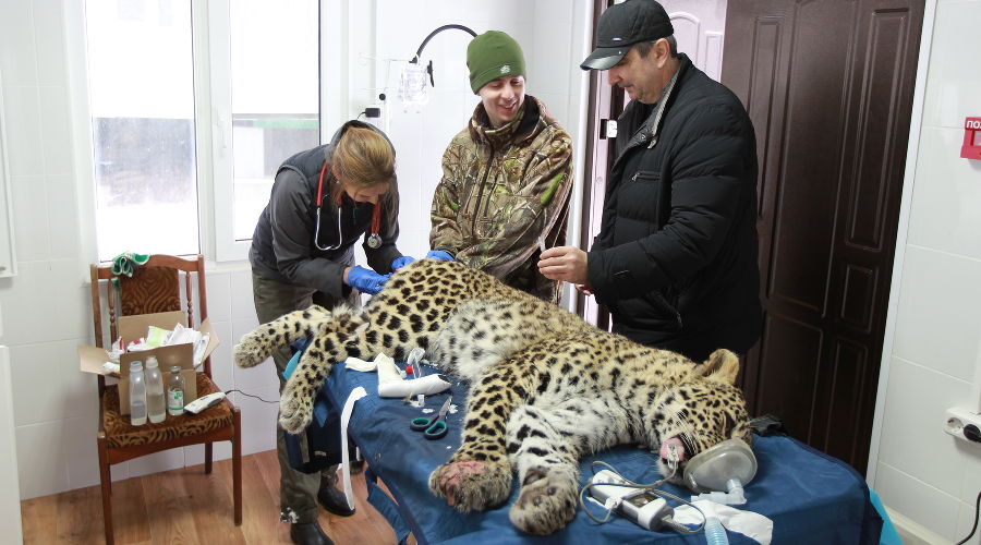  © Фото пресс-службы Сочинского нацпарка