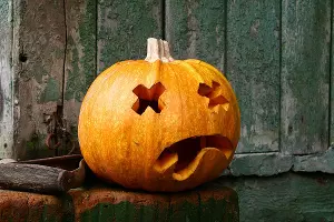  &copy;&nbsp;Фото с сайта pixabay.com