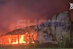  &copy;&nbsp;скриншот фото из телеграм-канала SHOT