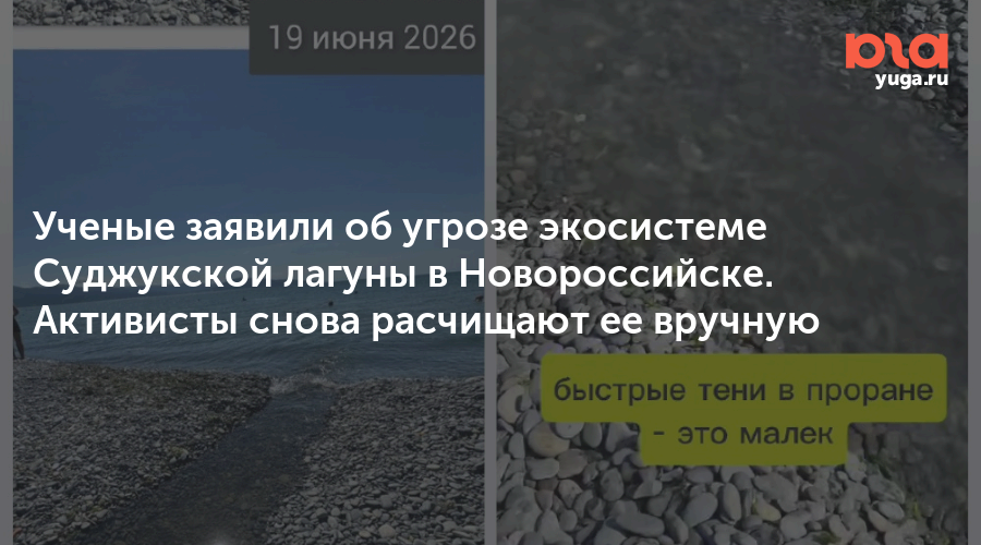Ученые заявили об угрозе экосистеме Суджукской лагуны в Новороссийске. Активисты снова расчищают ее вручную