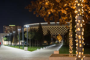 Парк «Краснодар»  с новогодней подсветкой &copy;&nbsp;Фото Елены Синеок, Юга.ру