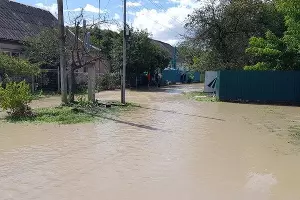  &copy;&nbsp;Фото Эмира Кубединова