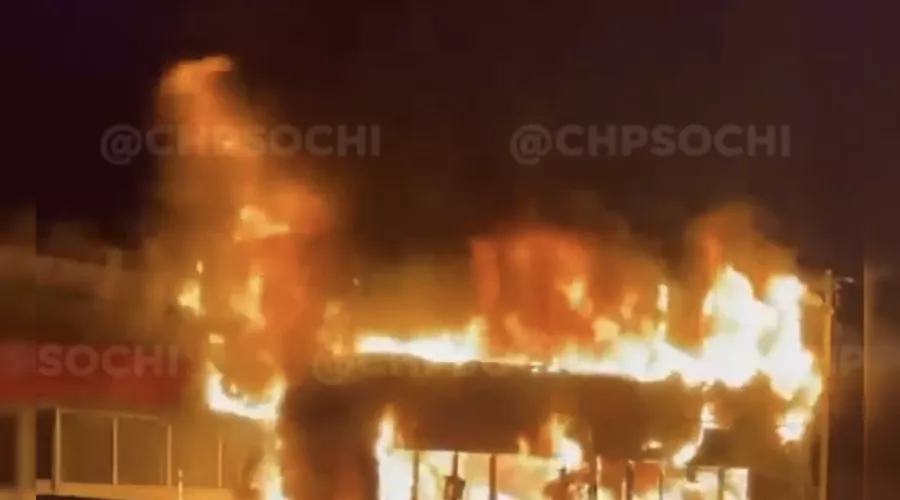  &copy;&nbsp;Кадр из видео телеграм-канала &laquo;ЧП Сочи&raquo;, t.me/chp_sochi