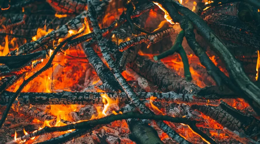  &copy;&nbsp;Фото с сайта pixabay.com