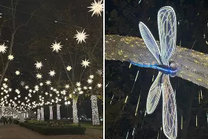  &copy;&nbsp;Фото Марии Журавлевой, Юга.ру