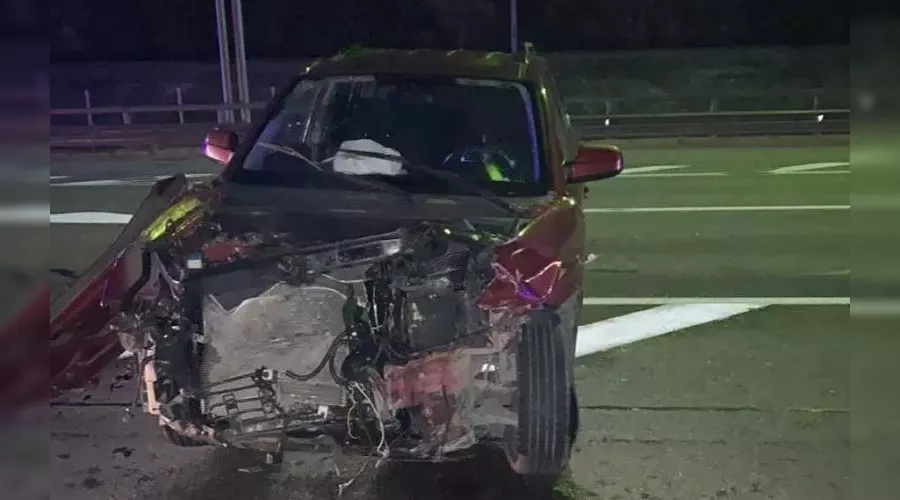  &copy;&nbsp;Кадр из видео телеграм-канала &laquo;Типичный Сочи&raquo;, t.me/sochitypical