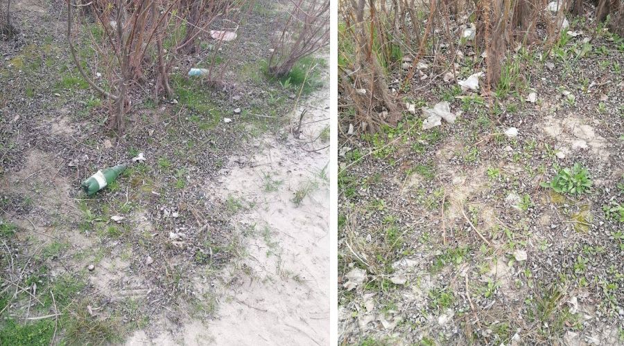  © Коллаж из скриншотов фото из телеграм-канала «Чистая среда Краснодар»