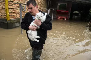 Подтопление в селе Левокумка Ставропольского края &copy;&nbsp;Фото Антона Подгайко, Юга.ру