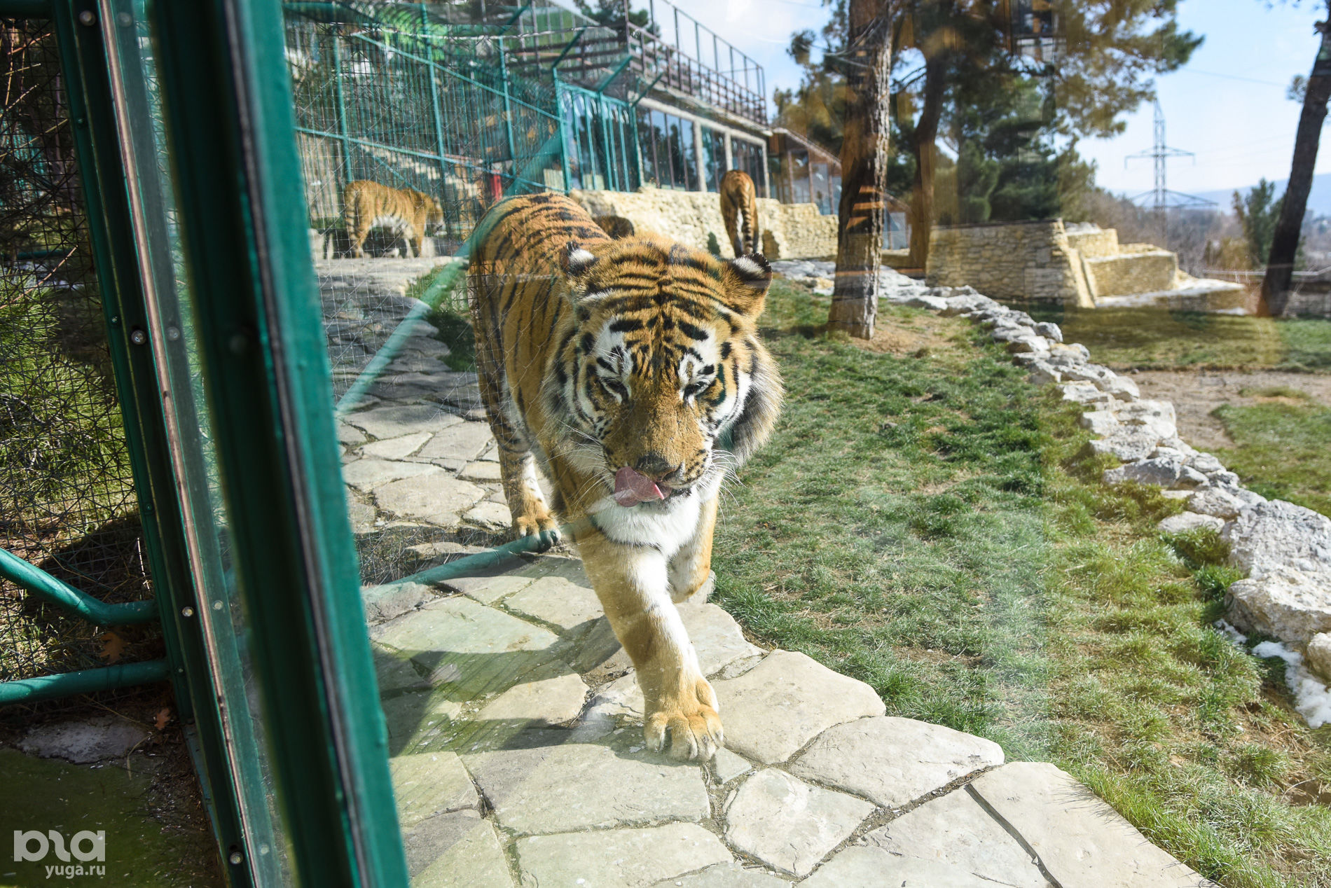 Сафари парк сочи