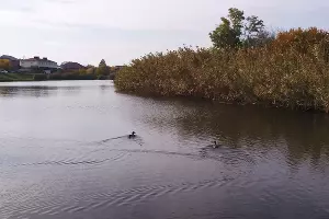  &copy;&nbsp;Фото Кирилла Панькова, Юга.ру