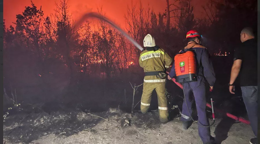  &copy;&nbsp;Скриншот из телеграм-канала мэра Геленджика Алексея Богодистова https://t.me/BogodistovAA/3130