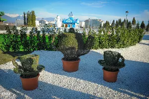 "Сочи парк" открыл двери гостям Олимпиады-2014 &copy;&nbsp;Никита Быков, ЮГА.ру