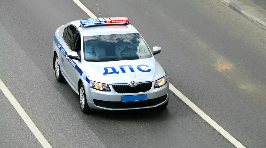 Новый медиаматериал &copy;&nbsp;Фото с сайта pixabay.com