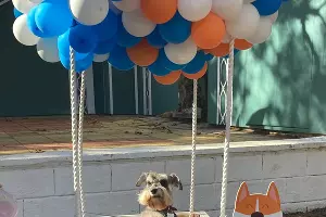  &copy;&nbsp;Фото Дианы Овелян