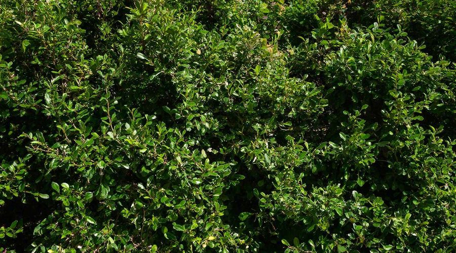 ИЗГОРОДЬ &copy;&nbsp;Изображение сгенерировано нейросетью Gigachat