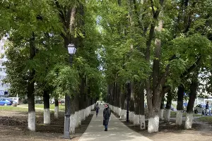  &copy;&nbsp;Фото Влады Мандрыка, Юга.ру