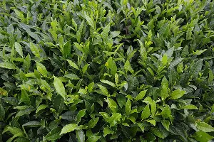  &copy;&nbsp;Фото Александра Никонова, Юга.ру